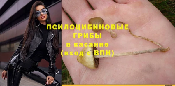 стафф Иннополис