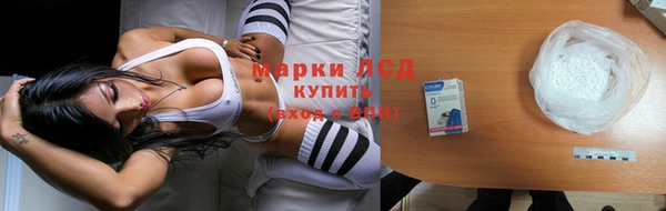 стафф Иннополис