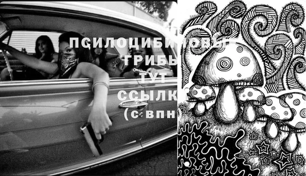 кокс Инта